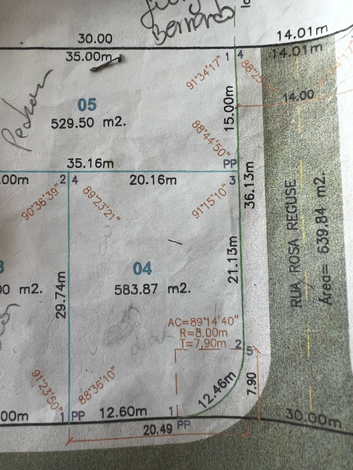 WhatsApp Image 2026-02-18 at 12.22.58