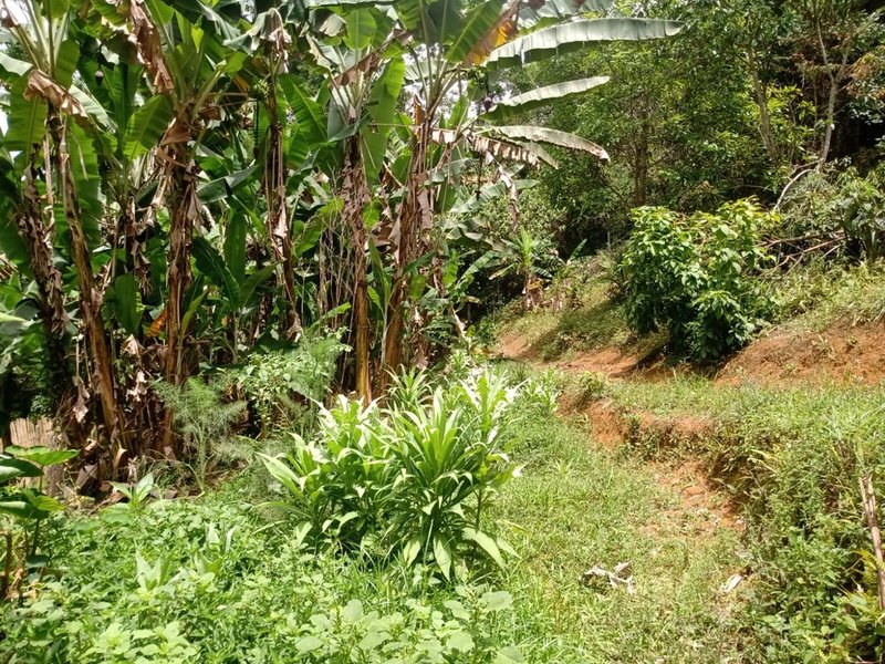 CHÁCARA 6.000 METROS ZONA NORTE DE SÃO JOSÉ DOS CAMPOS/ SÃO PAULO - São José dos Campos - 