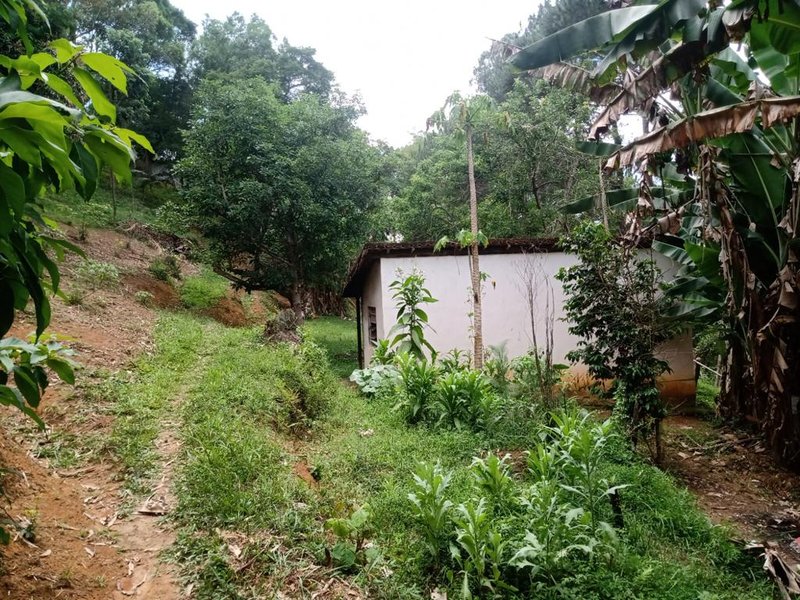 CHÁCARA 6.000 METROS ZONA NORTE DE SÃO JOSÉ DOS CAMPOS/ SÃO PAULO - São José dos Campos - 