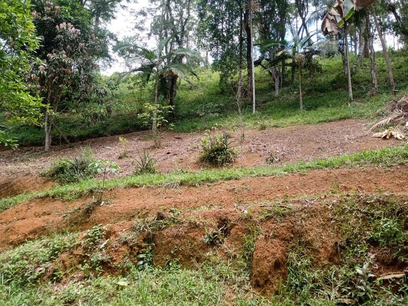 CHÁCARA 6.000 METROS ZONA NORTE DE SÃO JOSÉ DOS CAMPOS/ SÃO PAULO - São José dos Campos - 