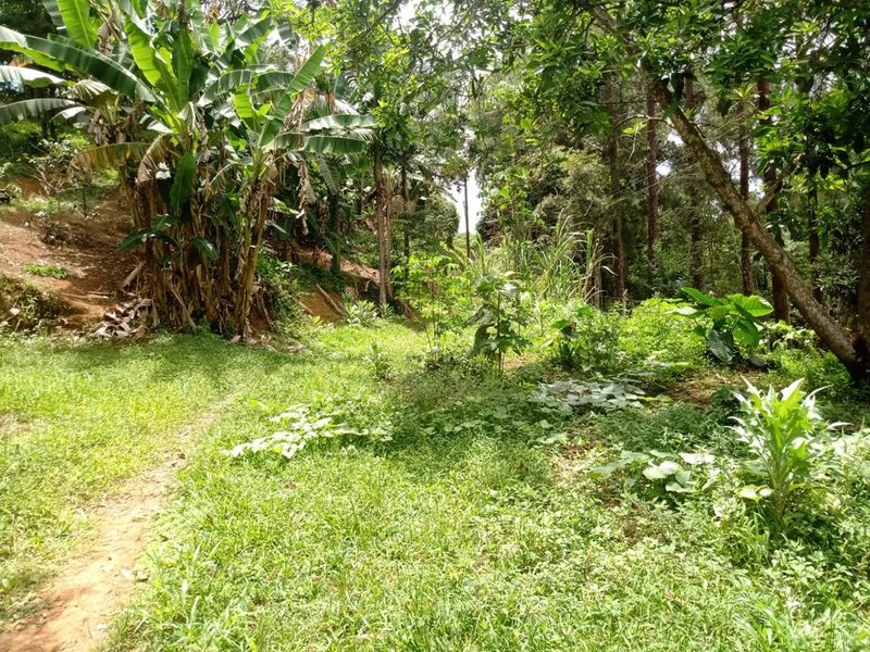 CHÁCARA 6.000 METROS ZONA NORTE DE SÃO JOSÉ DOS CAMPOS/ SÃO PAULO - São José dos Campos - 