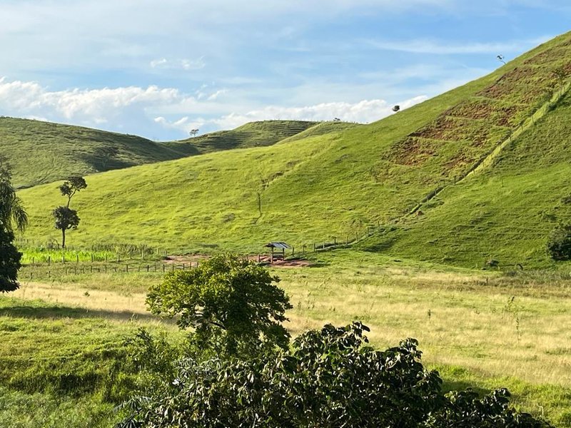 FAZENDA COM 102 ALQUEIRES NA REGIÃO DE PINDAMONHANGABA/SÃO PAULO - Pindamonhangaba - 