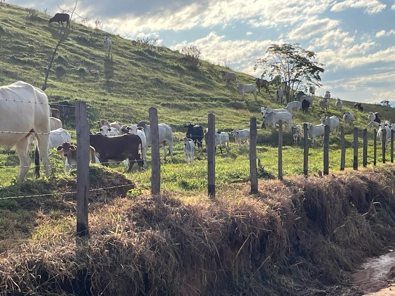 FAZENDA COM 102 ALQUEIRES NA REGIÃO DE PINDAMONHANGABA/SÃO PAULO - Pindamonhangaba - 
