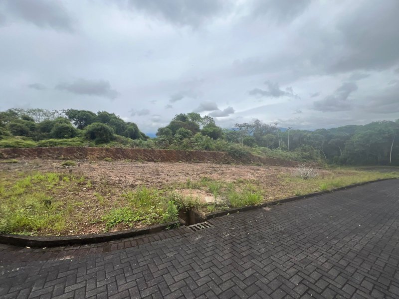 TERRENO NO CENTRO - Brusque - 