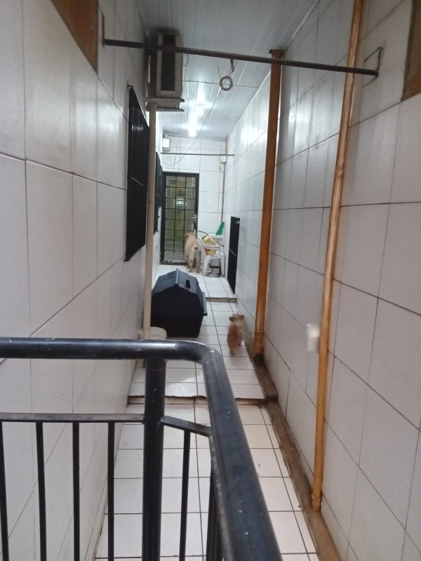 Prédio para aluguel com 450 m² - excelente localização no  Alto da Lapa Avenida Diógenes Ribeiro de Lima São Paulo - 