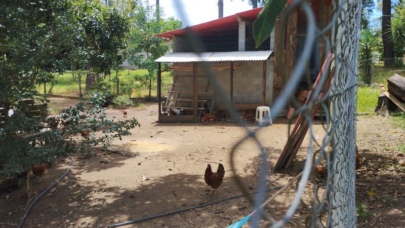 CHÁCARA COM 5.030 METROS PLANA EM CAÇAPAVA/SÃO PAULO - Caçapava - 