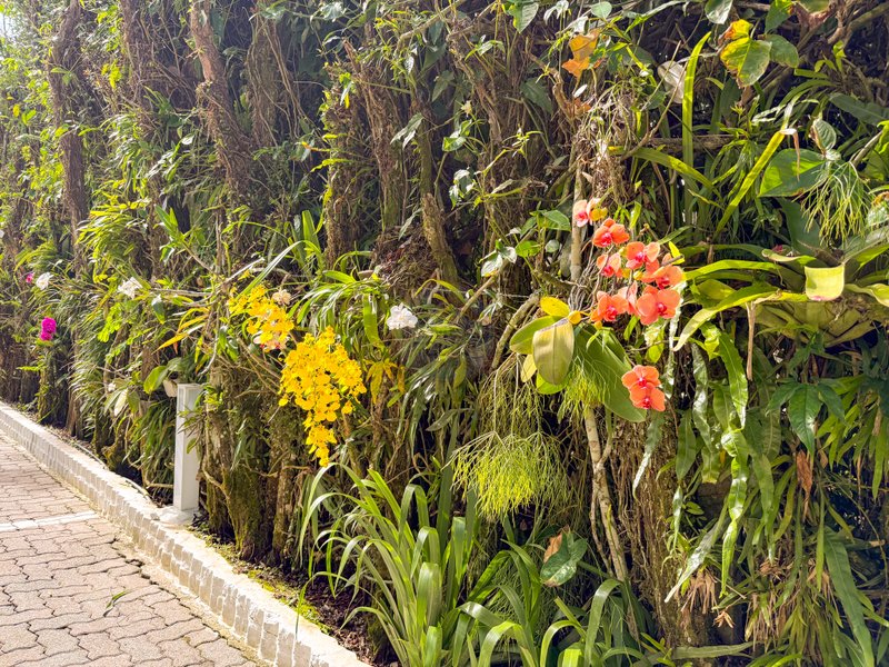Apartamento de 1 dormitorio na Praia de Juquehy - VENDA E LOCA&Ccedil;&Atilde;O ANUAL  São Sebastião - 