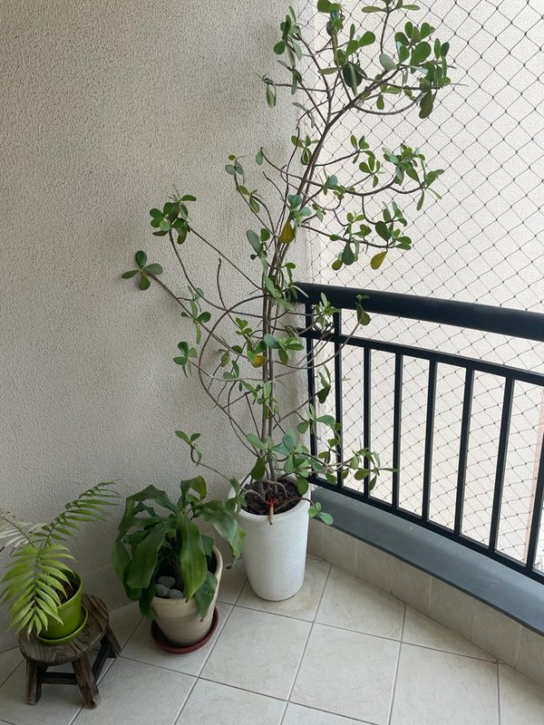 Perdizes - apartamento andar alto, 2 suítes, 1 vaga Rua Cayowaá São Paulo - 
