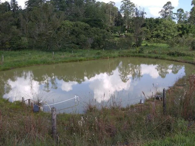 SÍTIO COM 4.2 HECTARES EM CAÇAPAVA/SÃO PAULO - Caçapava - 