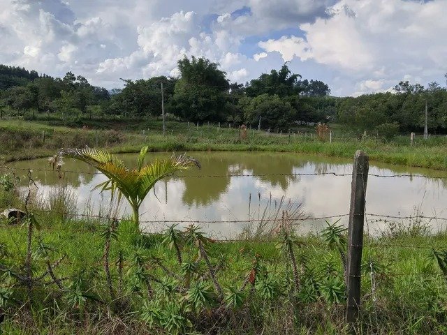 SÍTIO COM 4.2 HECTARES EM CAÇAPAVA/SÃO PAULO - Caçapava - 