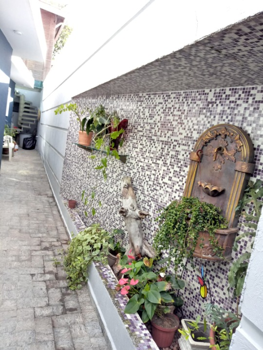 Casa com 3 dormitórios excelente localização próximo à Cerro Corá Rua Camburiú São Paulo - 