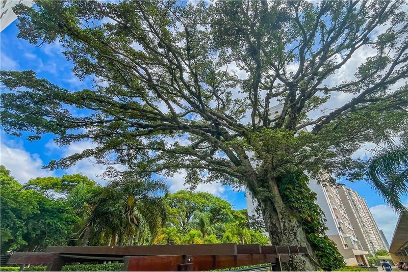 Apartamento á 4 min do Lindóia Tênis Clube Mauro Guedes de Oliveira Porto Alegre - 