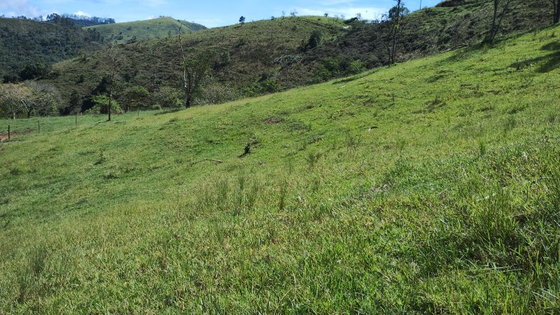 Sítio 5.6 hectares em São José dos Campos, São Paulo - São José dos Campos - 