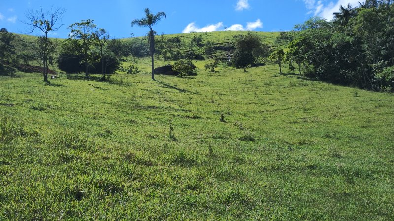 Sítio 5.6 hectares em São José dos Campos, São Paulo - São José dos Campos - 