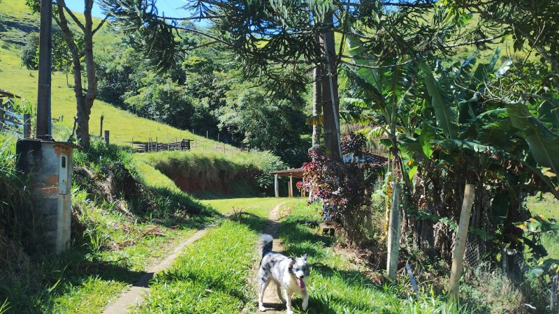 Sítio 5.6 hectares em São José dos Campos, São Paulo - São José dos Campos - 