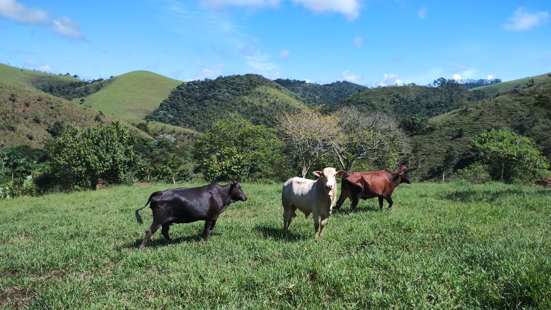 Sítio 5.6 hectares em São José dos Campos, São Paulo - São José dos Campos - 