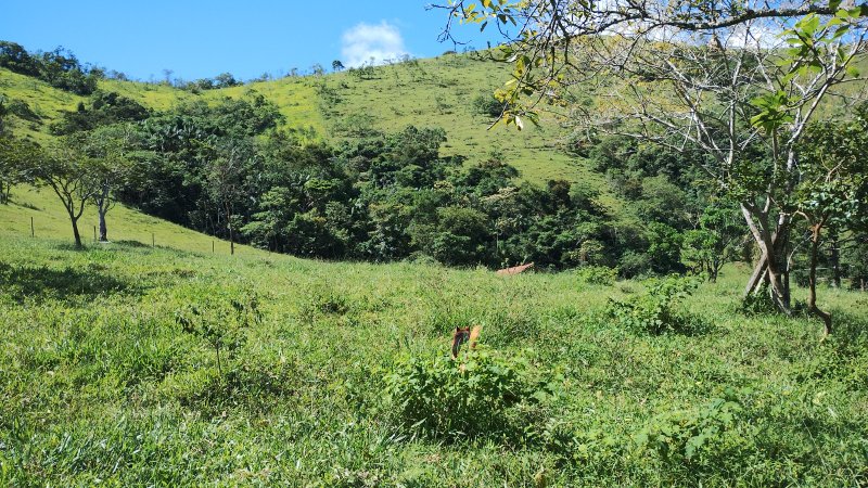 Sítio 5.6 hectares em São José dos Campos, São Paulo - São José dos Campos - 