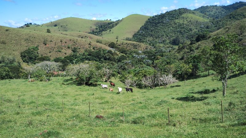 Sítio 5.6 hectares em São José dos Campos, São Paulo - São José dos Campos - 