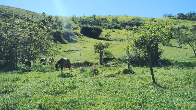 Sítio 5.6 hectares em São José dos Campos, São Paulo - São José dos Campos - 