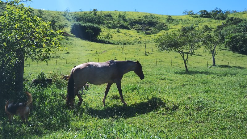 Sítio 5.6 hectares em São José dos Campos, São Paulo - São José dos Campos - 