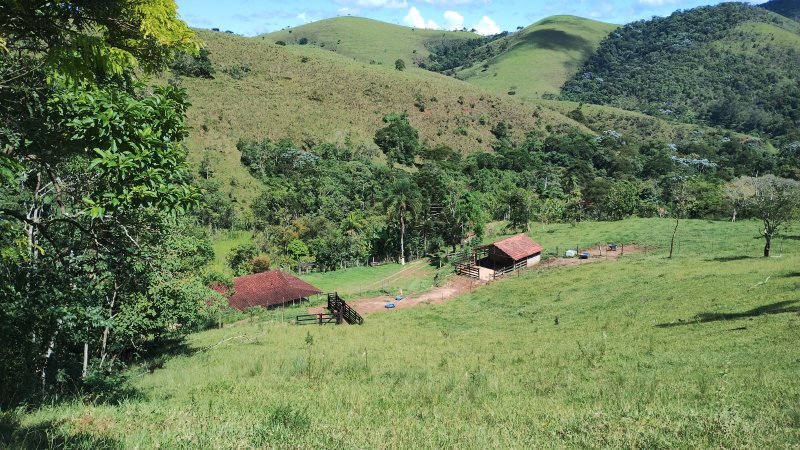 Sítio 5.6 hectares em São José dos Campos, São Paulo - São José dos Campos - 