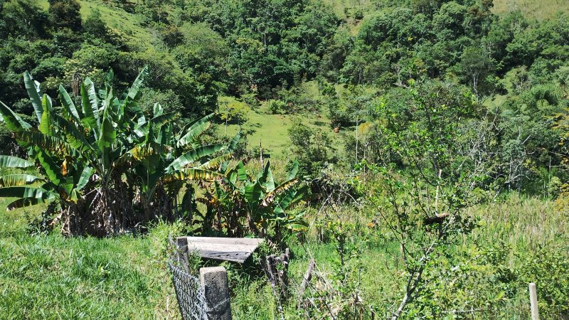 Sítio 5.6 hectares em São José dos Campos, São Paulo - São José dos Campos - 