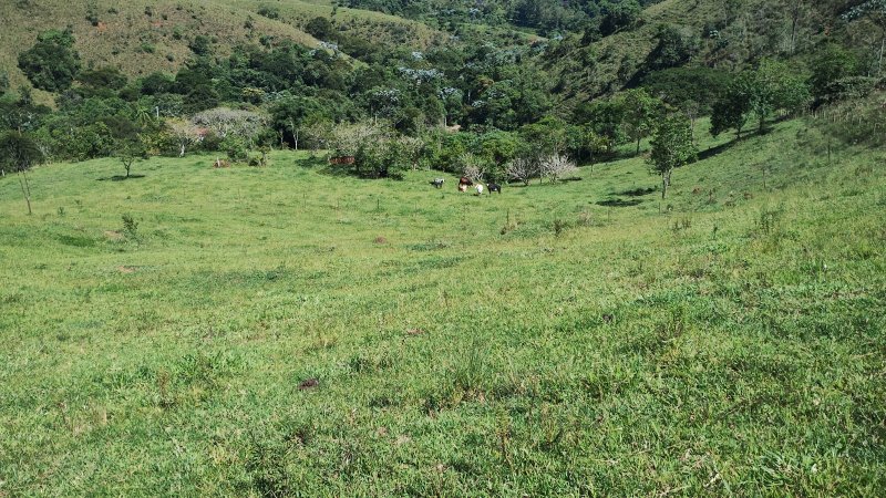 Sítio 5.6 hectares em São José dos Campos, São Paulo - São José dos Campos - 
