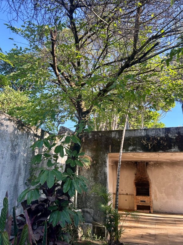 VENDA CASA – TERRENO 949 M² - OPORTUNIDADE! Rua Alberto Hodge São Paulo - 