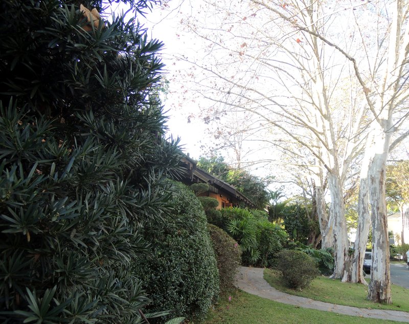 Em Alphaville, Casa Residencial 3,  um jardim no paraíso Alameda Cananéia Santana de Parnaíba - 