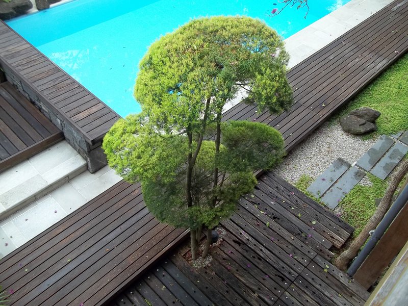 Em Alphaville, Casa Residencial 3,  um jardim no paraíso Alameda Cananéia Santana de Parnaíba - 
