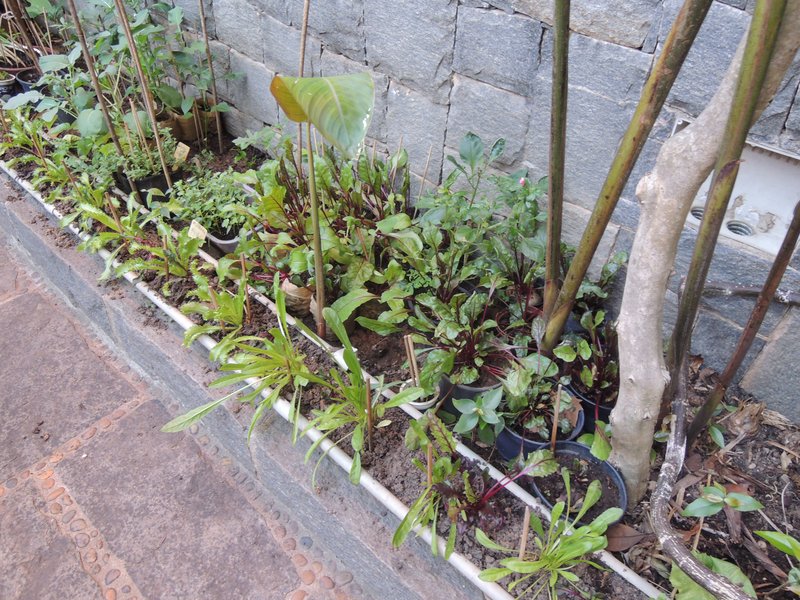 Em Alphaville, Casa Residencial 3,  um jardim no paraíso Alameda Cananéia Santana de Parnaíba - 