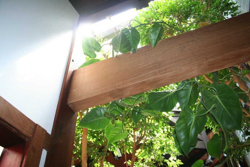 Em Alphaville, Casa Residencial 3,  um jardim no paraíso Alameda Cananéia Santana de Parnaíba - 