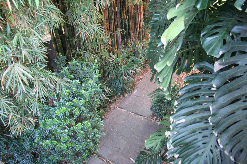 Em Alphaville, Casa Residencial 3,  um jardim no paraíso Alameda Cananéia Santana de Parnaíba - 