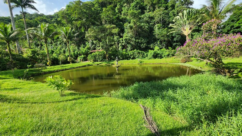 Excelente sítio com 27 hectares, local paradisíaco, cercado pela natureza, em Guapimirim  Guapimirim - 