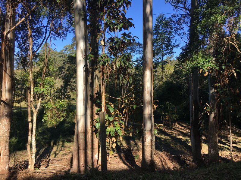 Sítio com 6.5 Hectares em Natividade da Serra, São Paulo - NATIVIDADE DA SERRA - 