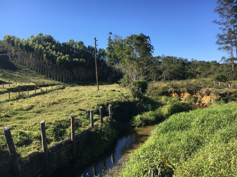 Sítio com 6.5 Hectares em Natividade da Serra, São Paulo - NATIVIDADE DA SERRA - 