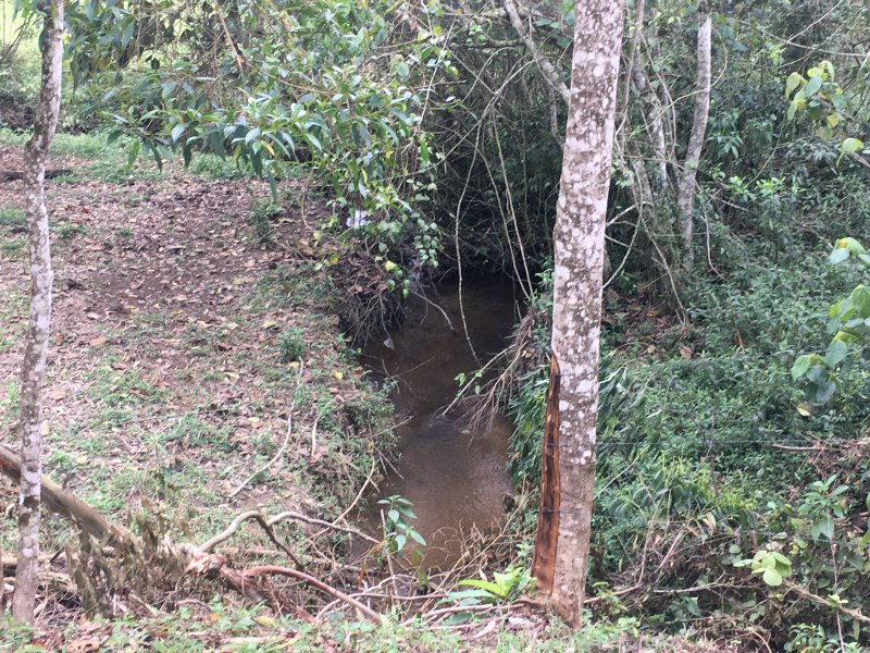 Sítio com 6.5 Hectares em Natividade da Serra, São Paulo - NATIVIDADE DA SERRA - 