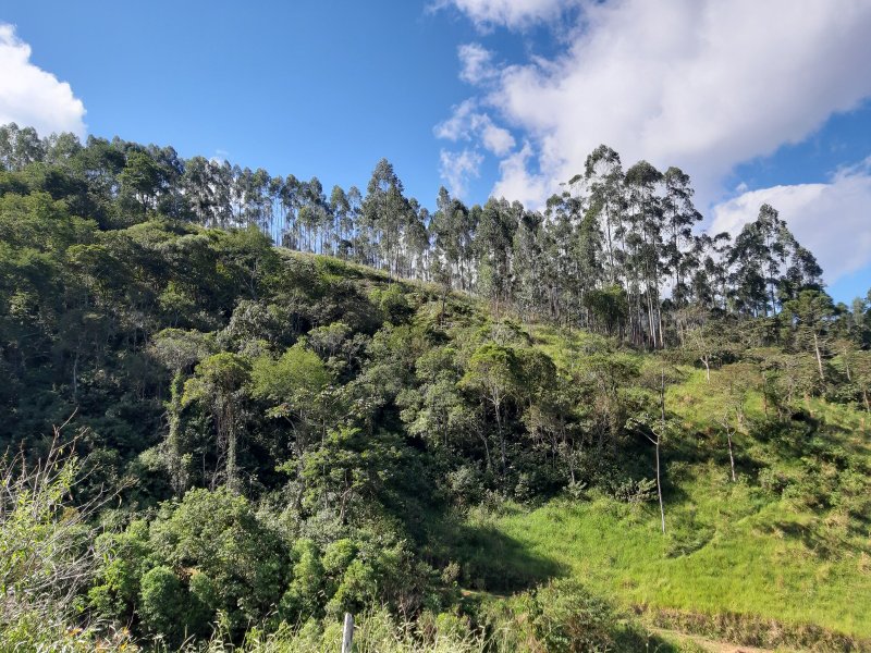 Sítio com 10 Alqueires em Monteiro Lobato, São Paulo - MONTEIRO LOBATO - 