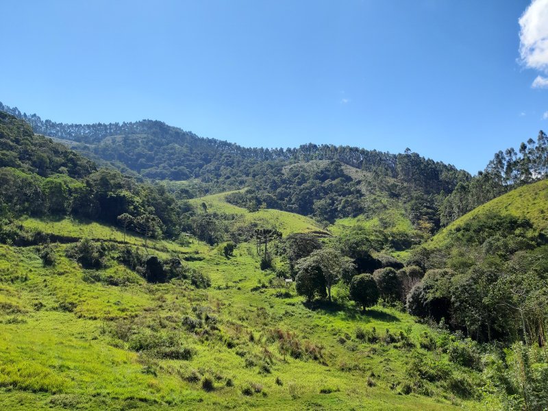 Sítio com 10 Alqueires em Monteiro Lobato, São Paulo - MONTEIRO LOBATO - 