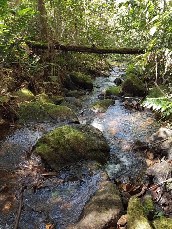 Sítio com 10 Alqueires em Monteiro Lobato, São Paulo - MONTEIRO LOBATO - 