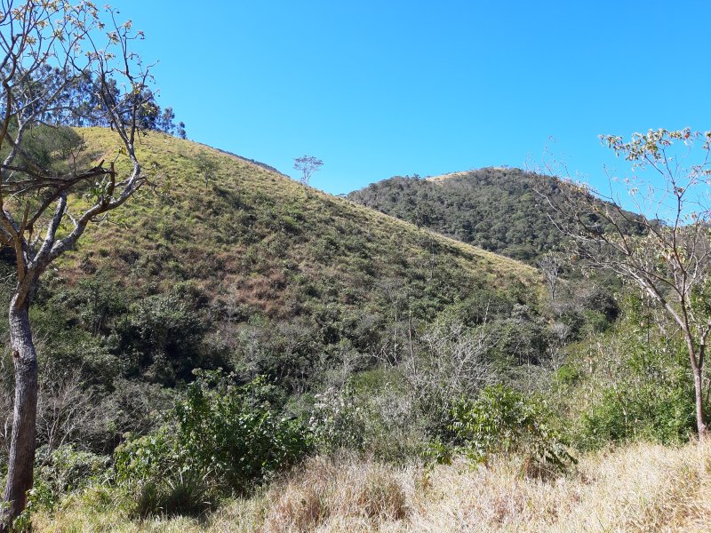 Sítio com 10 Alqueires em Monteiro Lobato, São Paulo - MONTEIRO LOBATO - 