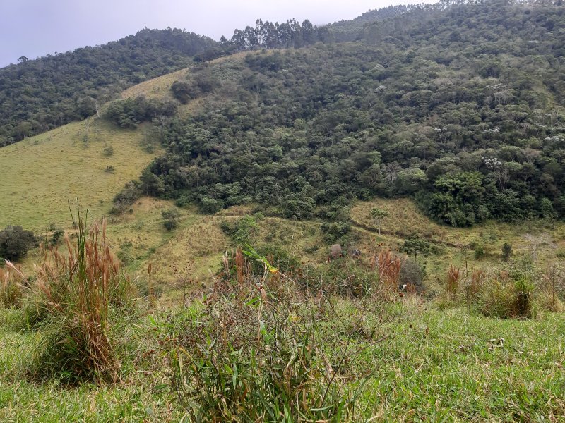 Sítio com 10 Alqueires em Monteiro Lobato, São Paulo - MONTEIRO LOBATO - 
