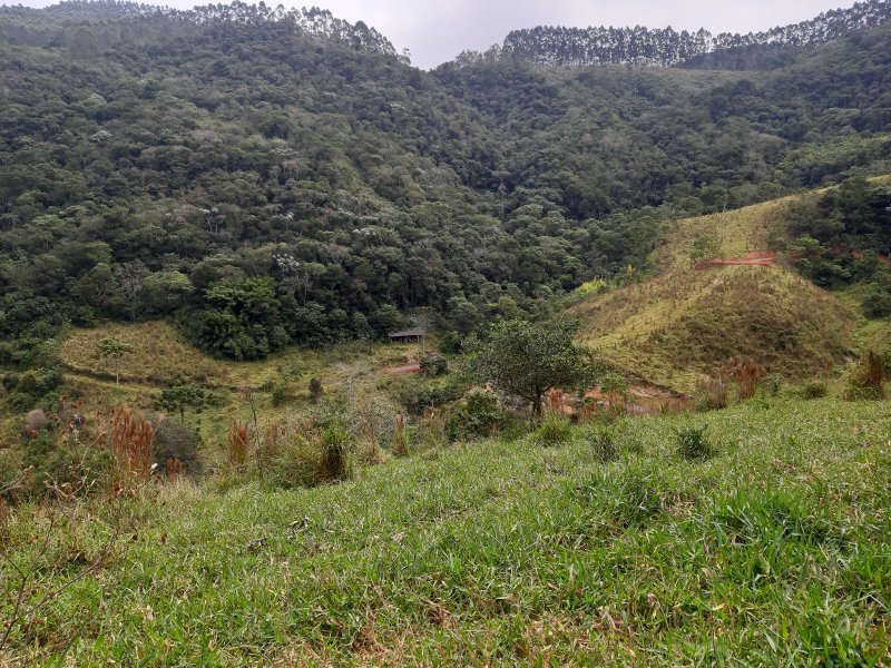 Sítio com 10 Alqueires em Monteiro Lobato, São Paulo - MONTEIRO LOBATO - 