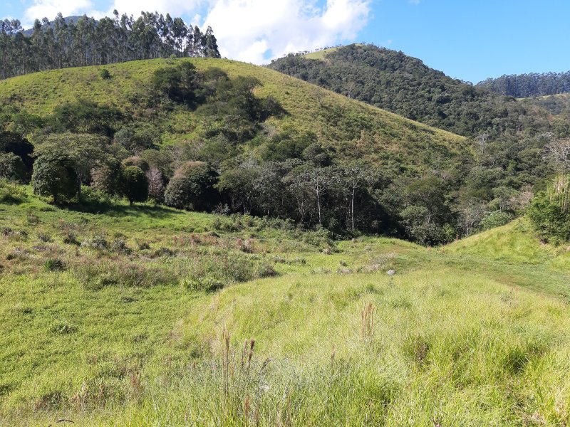 Sítio com 10 Alqueires em Monteiro Lobato, São Paulo - MONTEIRO LOBATO - 