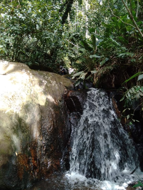 Sítio com 10 Alqueires em Monteiro Lobato, São Paulo - MONTEIRO LOBATO - 