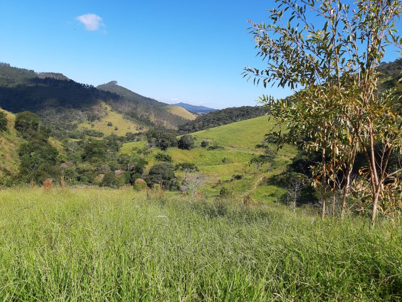 Sítio com 10 Alqueires em Monteiro Lobato, São Paulo - MONTEIRO LOBATO - 