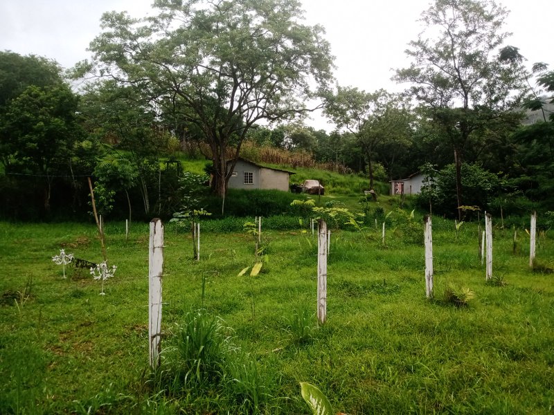 Sítio com 2 Hectares em São José dos Campos\ São Paulo - São José dos Campos - 