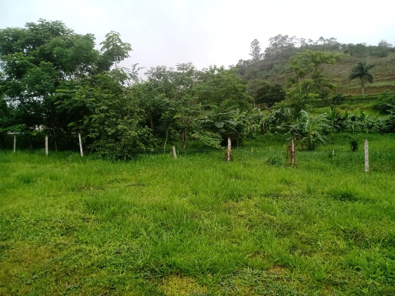 Sítio com 2 Hectares em São José dos Campos\ São Paulo - São José dos Campos - 