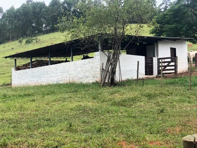 Sítio com 8 Alqueires em São Luís do Paraitinga\São Paulo - SAO LUIS DO PARAITINGA - 