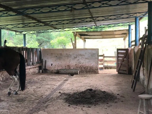 Sítio com 8 Alqueires em São Luís do Paraitinga\São Paulo - SAO LUIS DO PARAITINGA - 